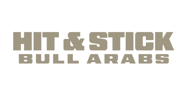 Hit & Stick Bull Arabs 